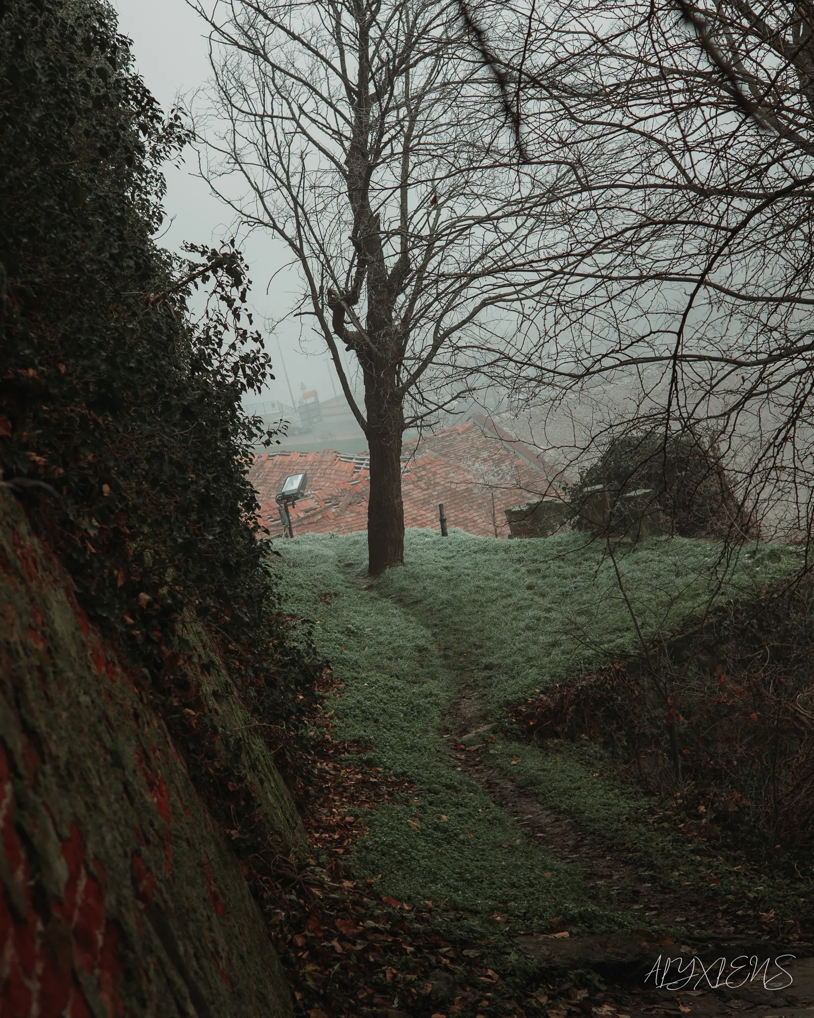 Landscape photography by ALYXLENS