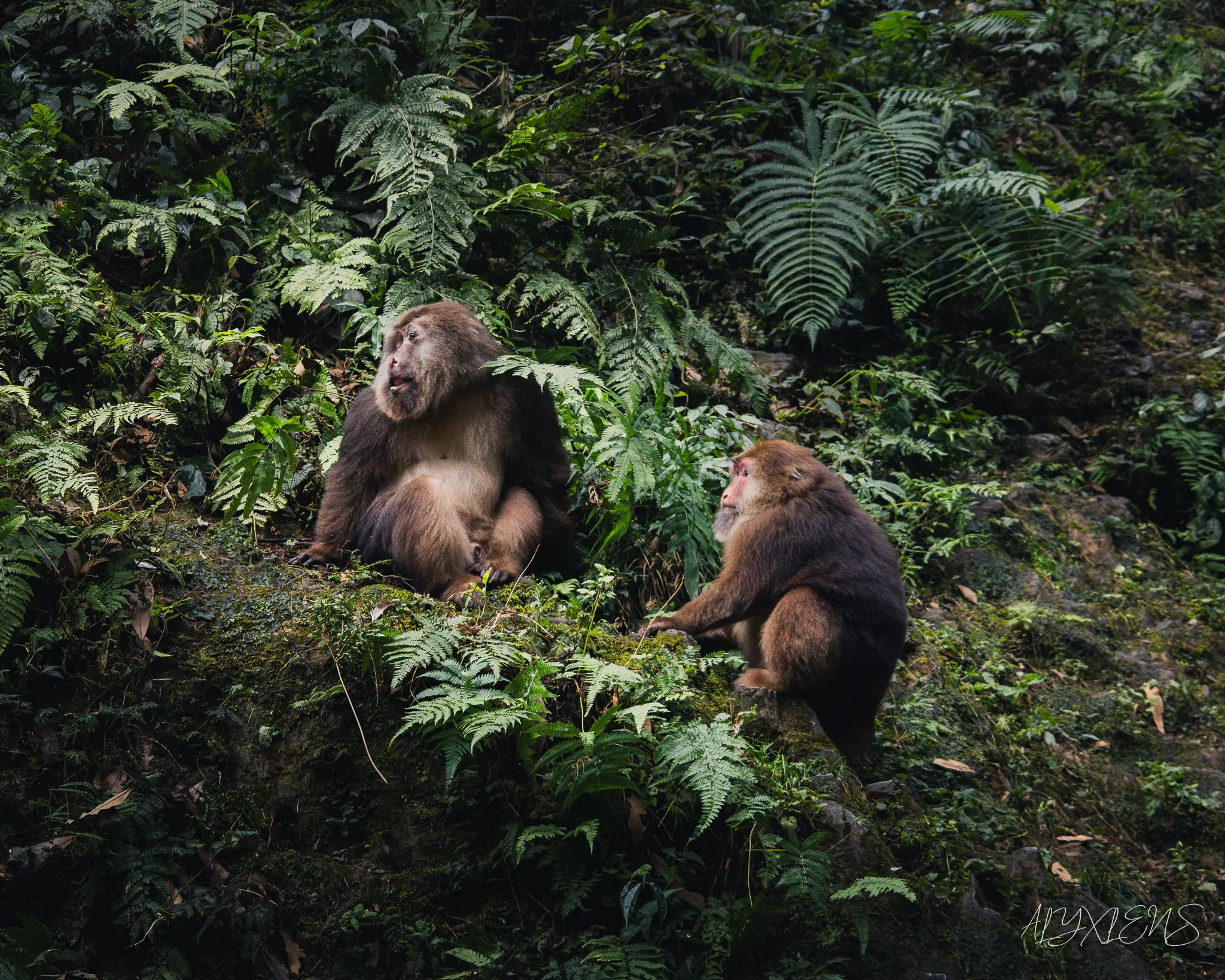 Travel photography by ALYXLENS